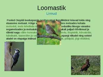 Otepää looduspark #10
