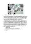 Looduskatastroofid maailmas #8