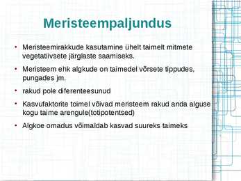 Taimede meristeempaljundus #4
