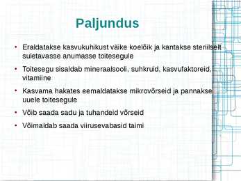 Taimede meristeempaljundus #5