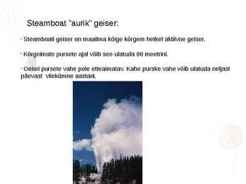 Geisrid #8