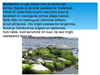 Jõed - slideshow #7