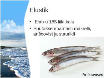 Esitlus Mustast merest #10