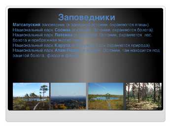Venekeelne powerpoint Eesti kohta #11