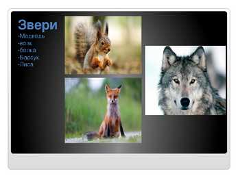 Venekeelne powerpoint Eesti kohta #13