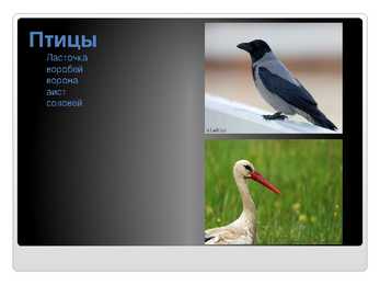 Venekeelne powerpoint Eesti kohta #14