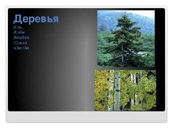 Venekeelne powerpoint Eesti kohta #15