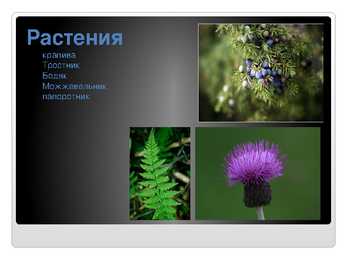 Venekeelne powerpoint Eesti kohta #16