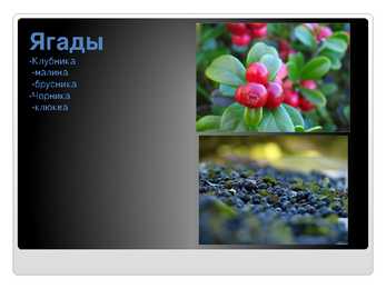 Venekeelne powerpoint Eesti kohta #17