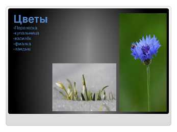 Venekeelne powerpoint Eesti kohta #18