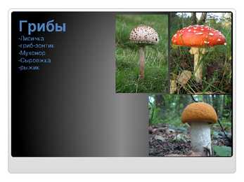 Venekeelne powerpoint Eesti kohta #19