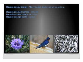 Venekeelne powerpoint Eesti kohta #6