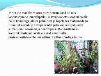 Pirita powerpoint #6