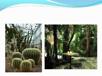 Pirita powerpoint #7