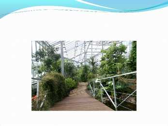 Pirita powerpoint #8