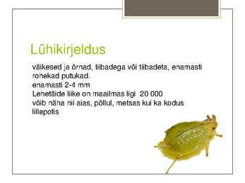Lehetäi #2
