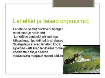 Lehetäi #5