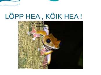 Madagaskar-powerpoint #17
