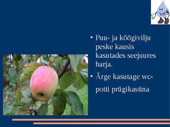 Vesi meie ümber #17