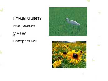 Лето - suvi #3
