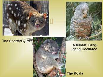 Austraalia - slideshow #24