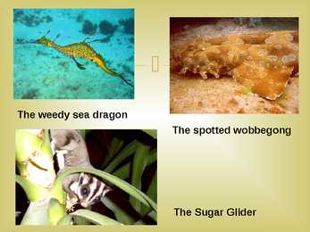 Austraalia - slideshow #25