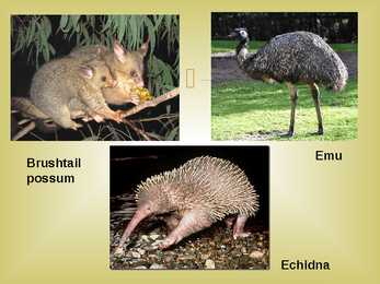 Austraalia - slideshow #26