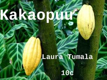 Kakaopuu