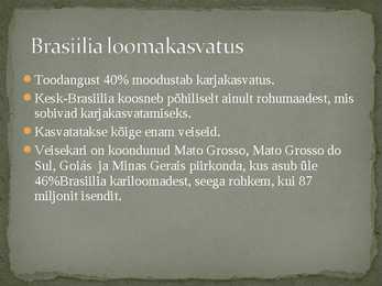 Argentiina ja Brasiilia põllumajandus #11