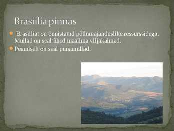 Argentiina ja Brasiilia põllumajandus #9