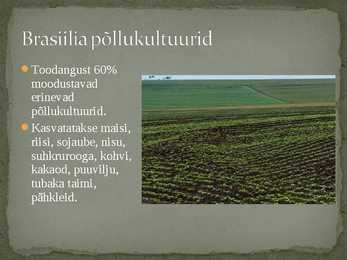 Argentiina ja Brasiilia põllumajandus #10