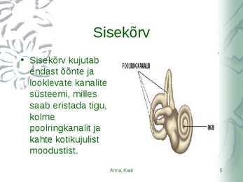 Kõrvahaiguste uurimismeetodid #5