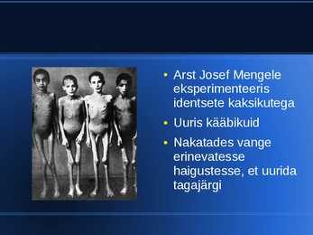 Auschwitzi powerpoint #14