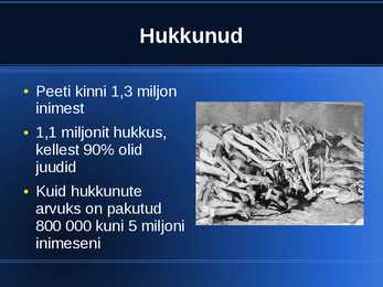 Auschwitzi powerpoint #4