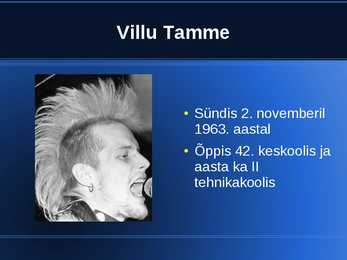 Villu Tamme powerpoint #2