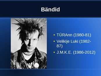 Villu Tamme powerpoint #3