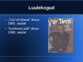 Villu Tamme powerpoint #4