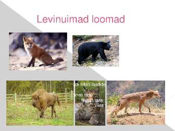 Kanada ja tundravöönd #13