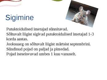 Putuktoiduliste powerpoint #2