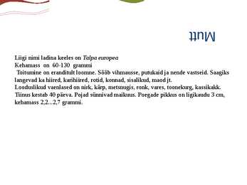Putuktoiduliste powerpoint #6