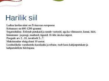 Putuktoiduliste powerpoint #8