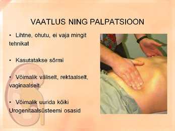 Naise ja mehe urogenitaalsüsteemi uurimine slideshow #4