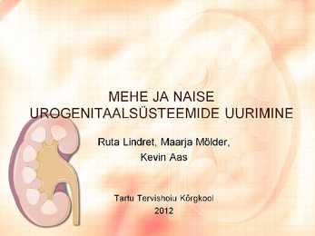 Naise ja mehe urogenitaalsüsteemi uurimine slideshow
