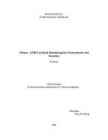GMES-Global Monitoring for Environment and Security