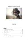 Indigenous people in australia