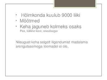 Rõngussid Powerpoint #3