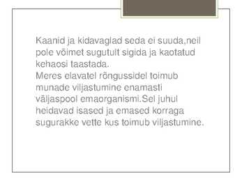Rõngussid Powerpoint #10