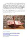 Loote areng-kogu rasedusperiood #13