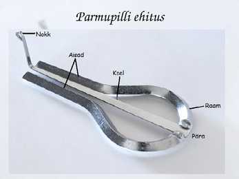 Parmupill #3