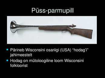 Põnevaid parmupille #15